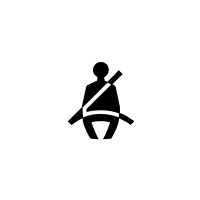 Opozorilna lučka za nepripet voznikov pas in pri nekaterih izvedenkah vozil tudi za nepripet sovoznikov varnostni pas